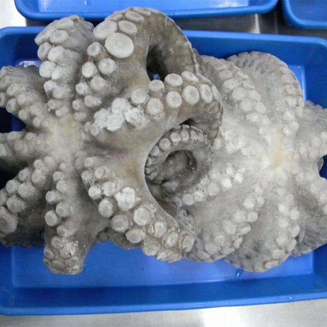 pulpo_entero